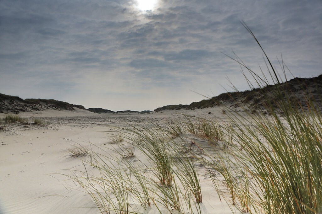 norderney4.jpg