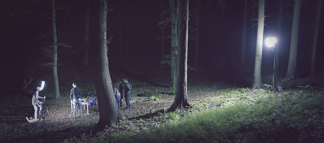 WALD-OFFF.jpg